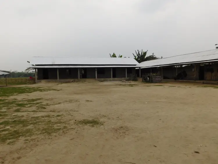 school